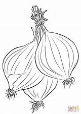 Three Onions coloring page  Free Printable Coloring Pages sketch template