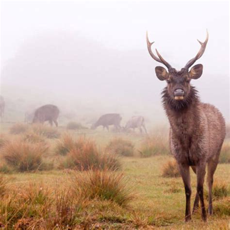 Horton Plains National Park - Airlines Crew Tours