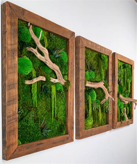 two wooden frames with moss covered wall art