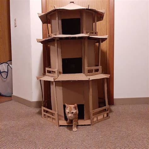 15 Cardboard Cat Fortresses To Inspire Your Next DIY Project – Meowingtons