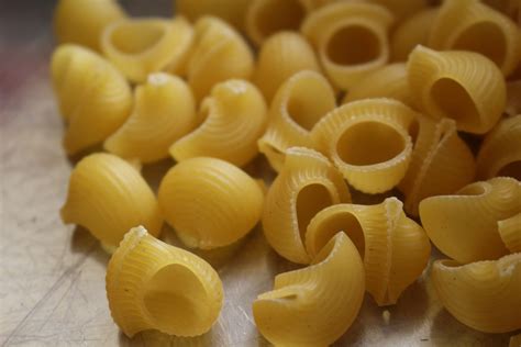 Macaroni Free Stock Photo - Public Domain Pictures