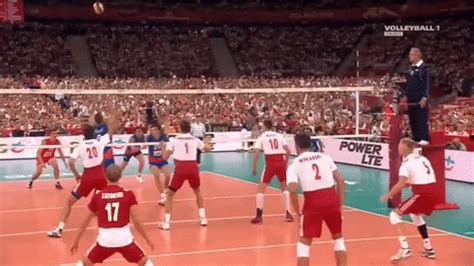 World Championships Volleyball GIF - Find & Share on GIPHY