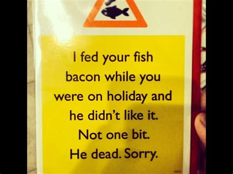 Fishy dead | Funny pictures, Fishy, Funny