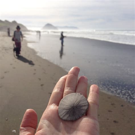 Least Busy Beaches In Southern California