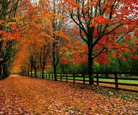 8 Great Places to See Fall Colors in Washington State