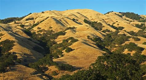 Burma Road trail on a late afternoon in July | A two thousan… | Flickr