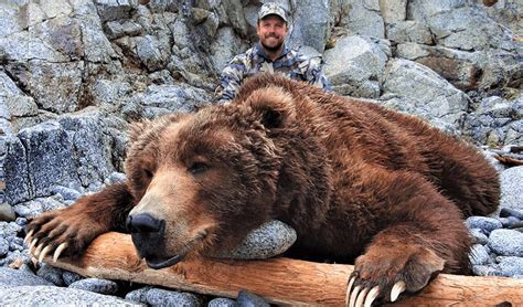 Afognak Island Brown Bear Hunting - OUTDOORS INTERNATIONAL