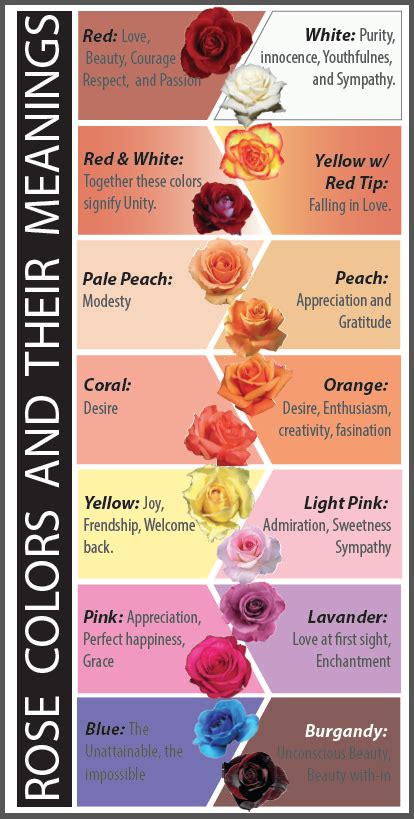 Rose Colors and their Meanings | Rose color meanings, Color meanings ...