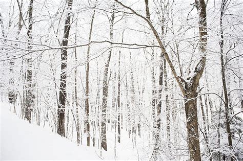 Winter Wonderland! | Vermont Wedding Photographer | Destination Wedding ...