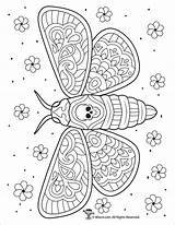 Moth Coloring Page For Adults  ColoringBay sketch template