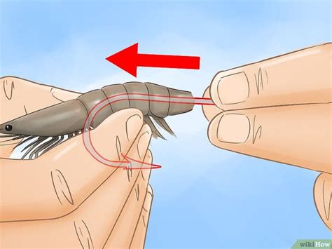 How to Hook a Shrimp: 13 Steps (with Pictures) | Saltwater fishing lures, Saltwater fishing ...