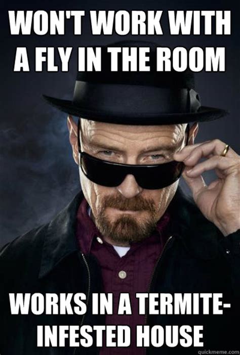 won't work with a fly in the room works in a termite-infested house - SCUMBAG WALTER WHITE ...