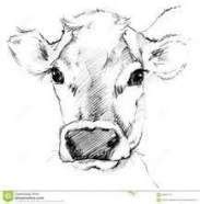 Painting pencil face how to draw 51 Ideas | Cow drawing, Cow sketch, Cow art