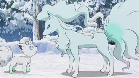 Imagen - EP1003 Ninetales de Alola y Níveo.png | WikiDex | FANDOM powered by Wikia