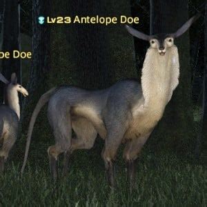 Antelope Doe – Gamer Escape