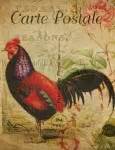 Rooster French Vintage Postcard Free Stock Photo - Public Domain Pictures