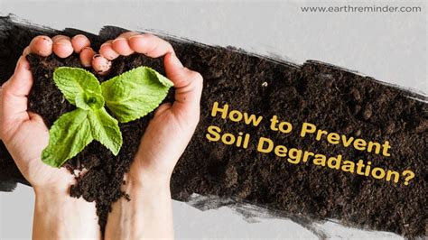 How to Prevent Soil Degradation? | Earth Reminder