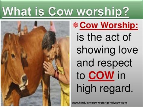 Cow Worship