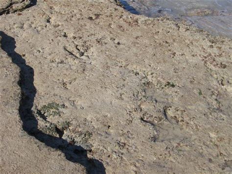 Penny's Adventures: Broome - Dinosaur footprints / waterside