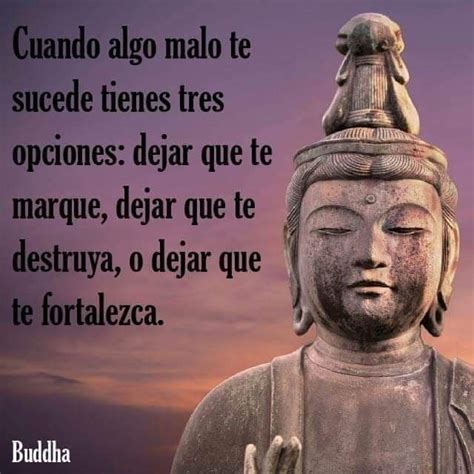 Buddha Quotes Life, Buddhist Quotes, Dalai Lama, Lao Tsé, Support Quotes, Siddhārtha Gautama ...