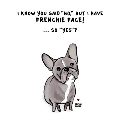Pin by Kris Hines on Fabulous French Bulldogs & Boston Terriers | Frenchie bulldog, Cute french ...