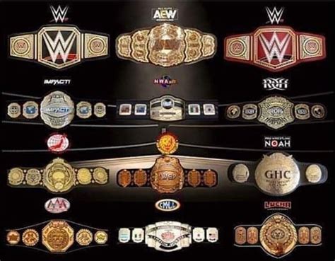 Pin by Mathew Mignott on Pro wrestling belts | Wrestling wwe, Wwe champions, Wrestling superstars