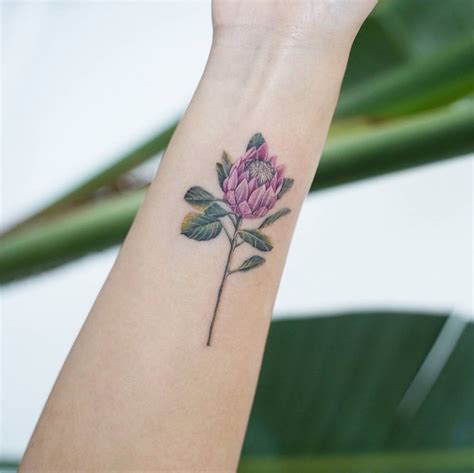 Protea Flower Tattoo Designs | Best Flower Site