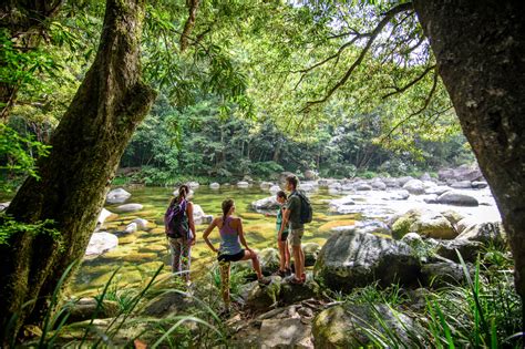 Cairns Hiking Tours | Daintree Rainforest | Atherton Tablelands Nature ...