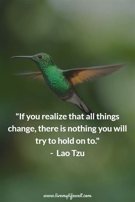 zen meditation #meditationbenefits | Taoism quotes, Life quotes, Zen quotes