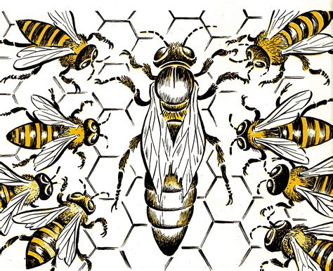 Queen Honey Bee Drawing - Viewing Gallery | Honey bee drawing, Bee drawing, Bee illustration