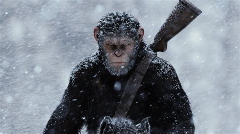 The Ending Of War For The Planet Of The Apes Explained