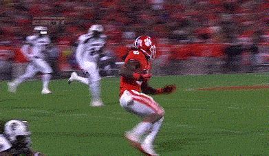 Gamecock Football GIFs - Find & Share on GIPHY