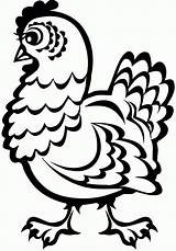 Printable Chicken Coloring Pages  Home sketch template