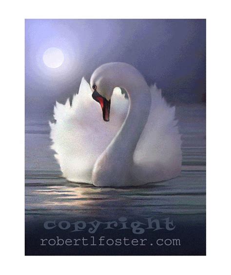 swan art swan print swan painting swan art painting by lewfoster