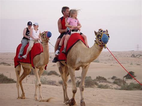 Dubai Desert Safari and Camel Rides | Fancy a thrilling 4x4 … | Flickr