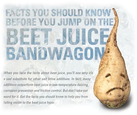 Facts About Beet Juice | MeltSnow.com