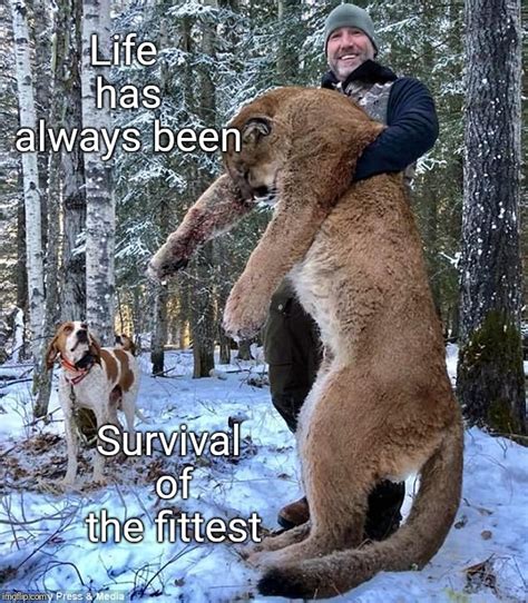 Humans are the only hunters not hunted - Imgflip