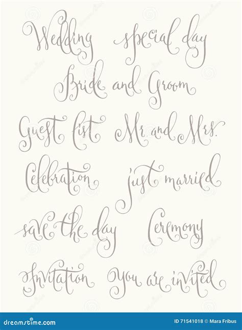 Wedding calligraphy set stock vector. Illustration of design - 71541018