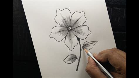 How to draw a flower easily - YouTube