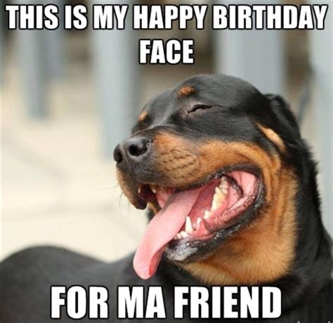 Happy birthday rottweiler Happy face for ma friend | Honden, Puppy's ...