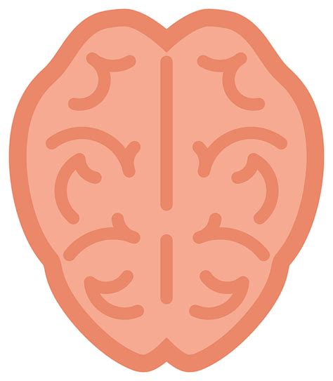 Brain Human Top-View - Free vector graphic on Pixabay