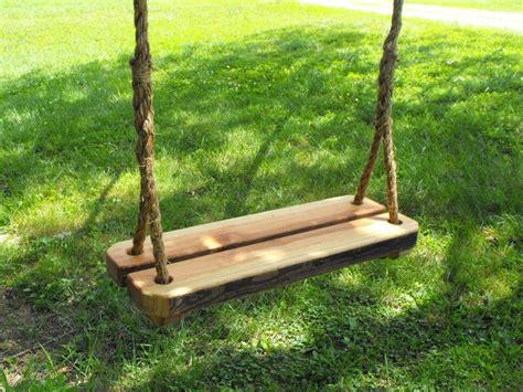 Our Comprehensive Guide on 21 Best Tree Swing Ideas - EatHappyProject