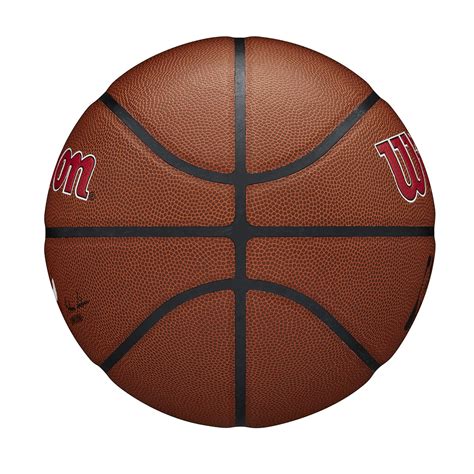 WILSON NBA Alliance Series Basketballs - Team Logo Basketballs - 29.5" and Mini Sizes- Buy ...