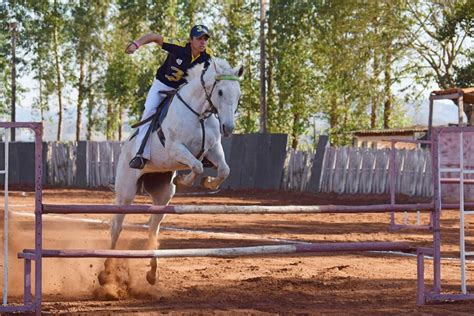 Horse Jumping Equipment: Different Kinds and Why It Matters - Lootsie