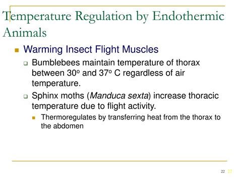 PPT - Temperature Relations PowerPoint Presentation, free download - ID ...