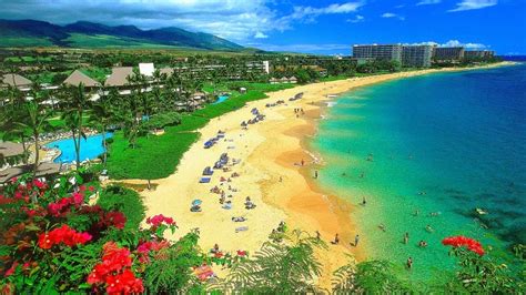 Planeta Curioso: Conheça Maui, a segunda maior Ilha do Havai.