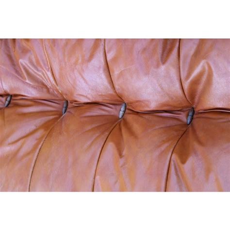 Cognac Leather Sofa from Insa, 1970s | Chairish