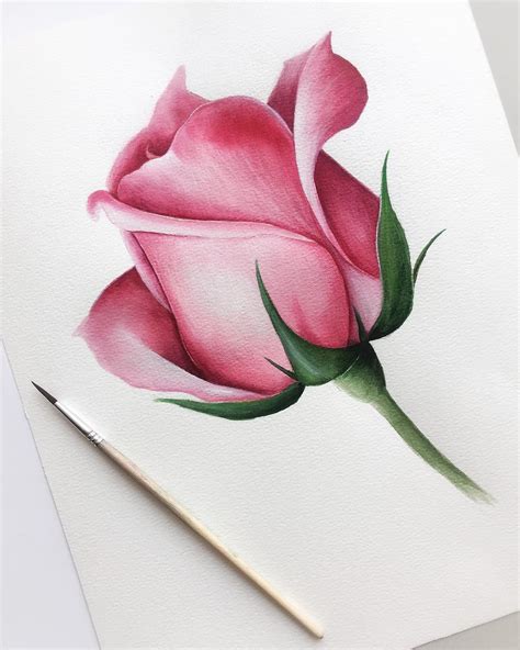 Nadezhda Savina 🎨 Watercolor painting on Instagram: "Ещё одна роза🎨🌹 ...