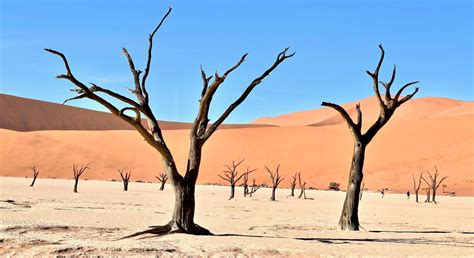 Sahel Desertification