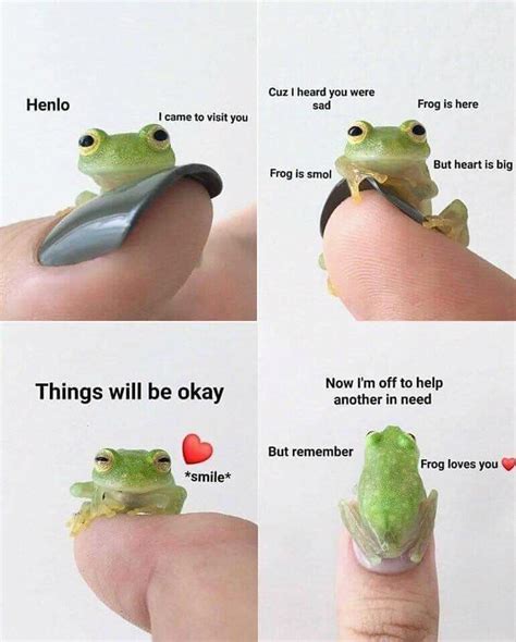 Frog is Friend. : r/wholesomememes